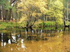 Herbstliches Loch an Eileen
