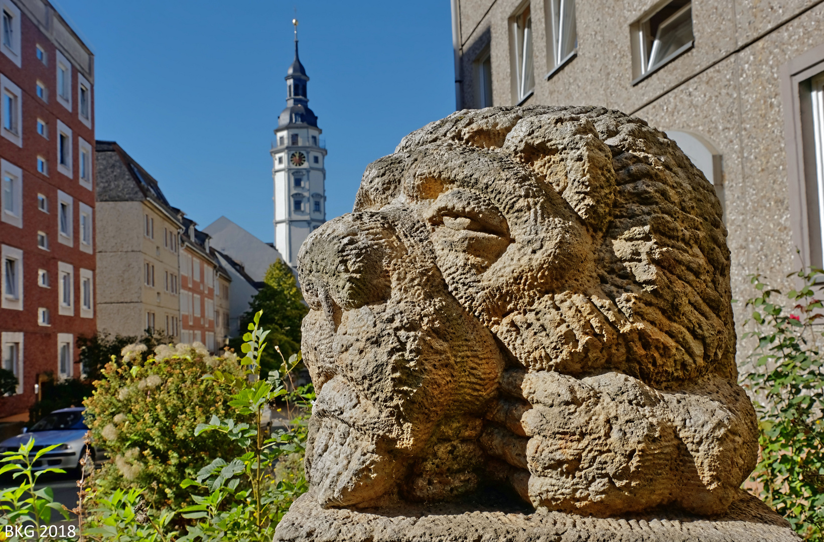 Herbstliches Löwensonnenbad in der Innenstadt 