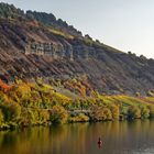 Herbstliches Maintal