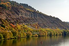 Herbstliches Maintal