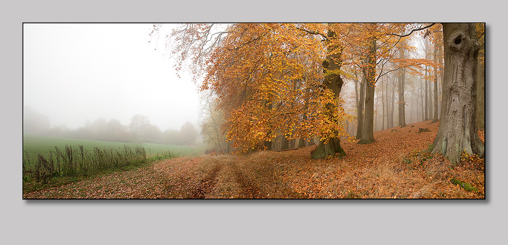 herbstliches MC Pomm