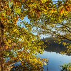 … Herbstliches Menue aus dem Zwei-Sterne-Gourmet-Tempel Schmalsee ...