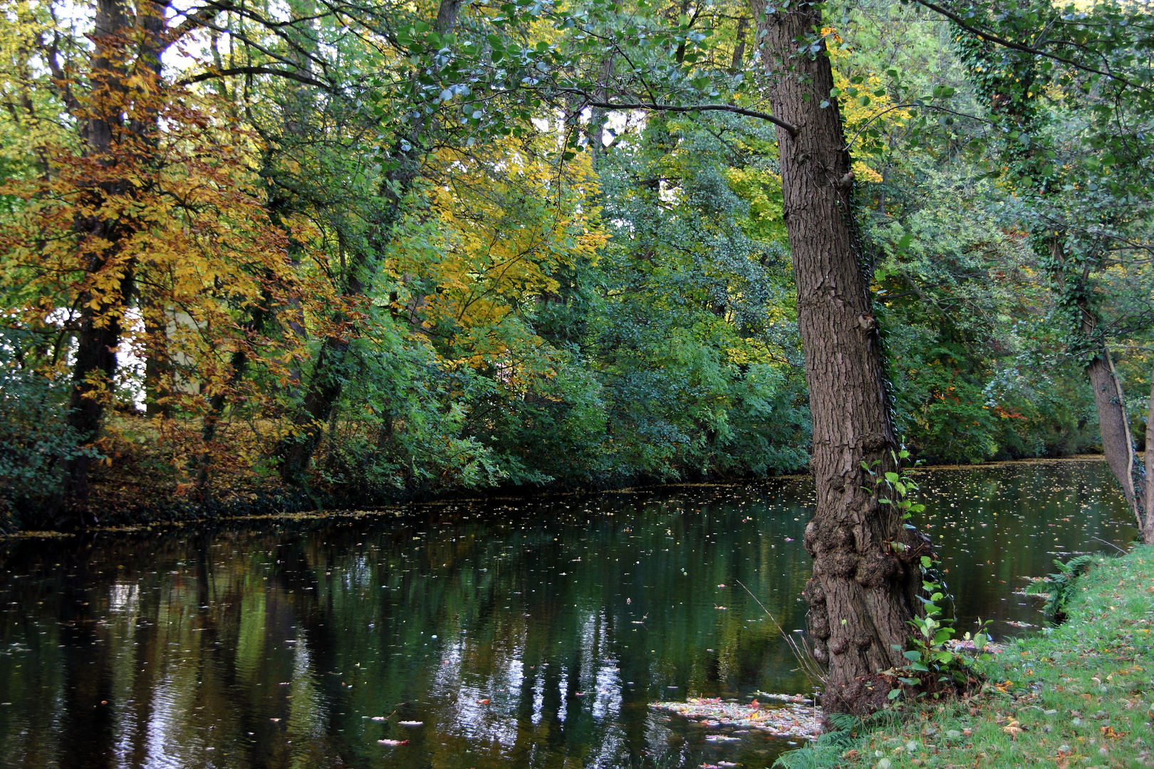 Herbstliches Meppen