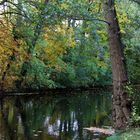 Herbstliches Meppen