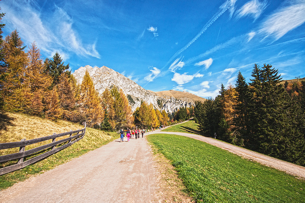 Herbstliches Meran