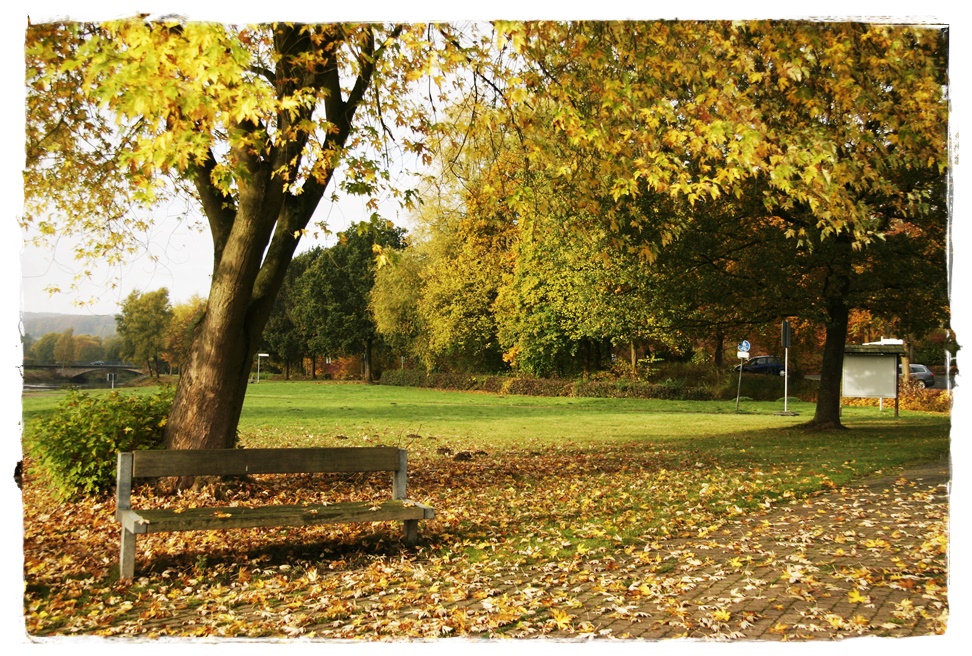 Herbstliches mit frischen Maulwurfshügeln