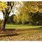 Herbstliches mit frischen Maulwurfshügeln