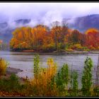 Herbstliches Mittelrheintal