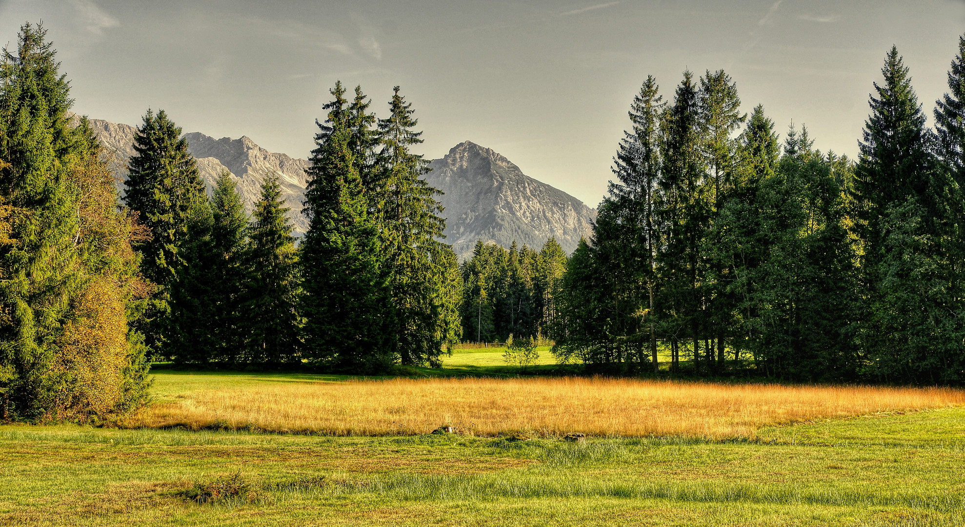 Herbstliches Moor