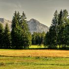 Herbstliches Moor