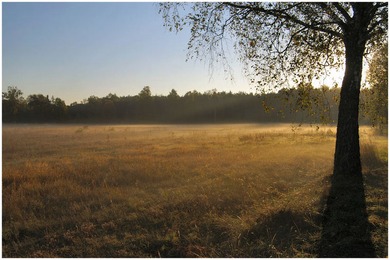 Herbstliches Morgenslicht