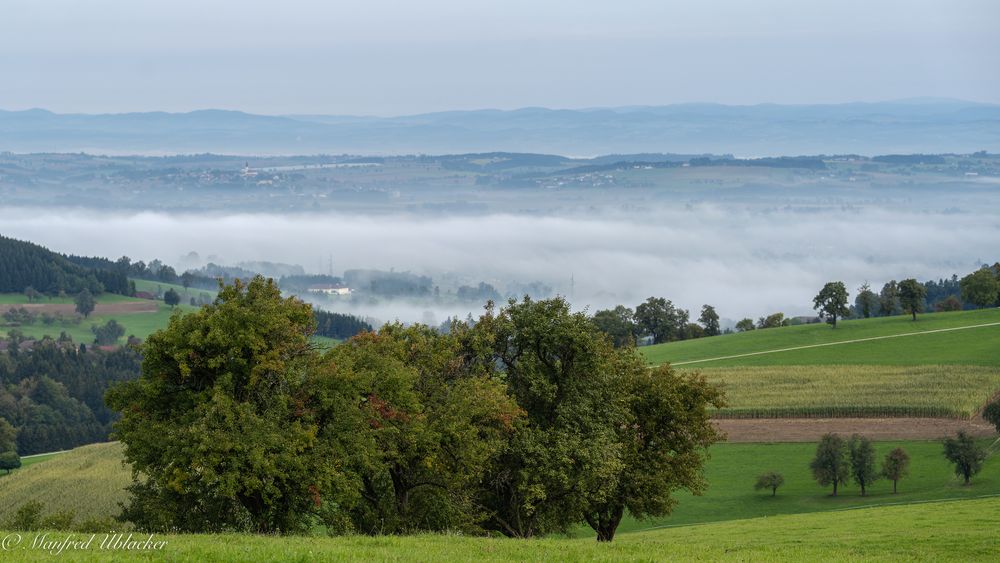 Herbstliches Mostviertl ...