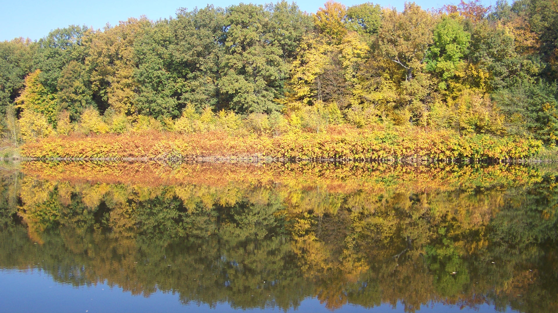 herbstliches Muldenufer / le rivage à l'automne