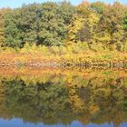 herbstliches Muldenufer / le rivage à l'automne