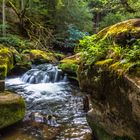 Herbstliches Mullerthal 10 (Luxemburgische Schweiz)