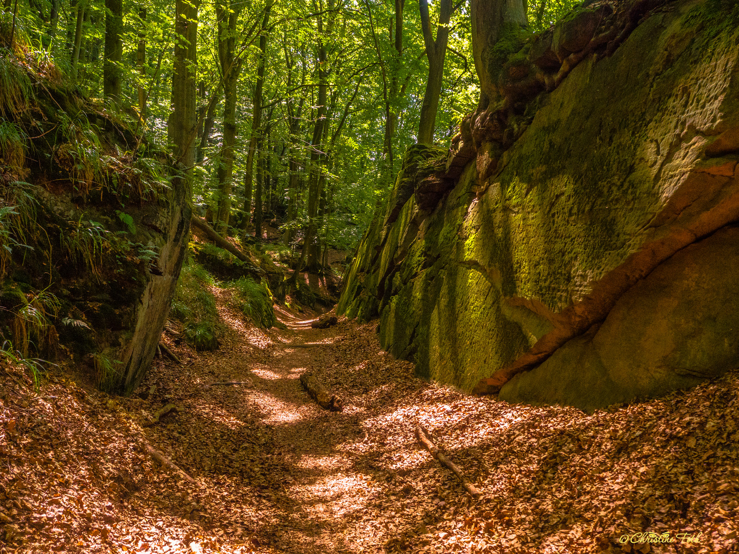 Herbstliches Mullerthal 2 (Luxemburgische Schweiz)