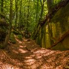 Herbstliches Mullerthal 2 (Luxemburgische Schweiz)