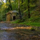 Herbstliches Mullerthal 3 (Luxemburgische Schweiz)