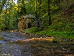 Herbstliches Mullerthal 3 (Luxemburgische Schweiz)