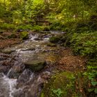 Herbstliches Mullerthal 6 (Luxemburgische Schweiz)