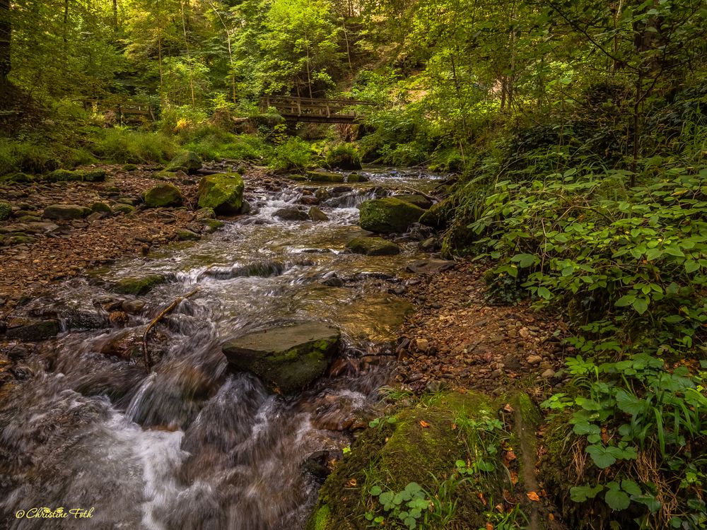 Herbstliches Mullerthal 6 (Luxemburgische Schweiz)