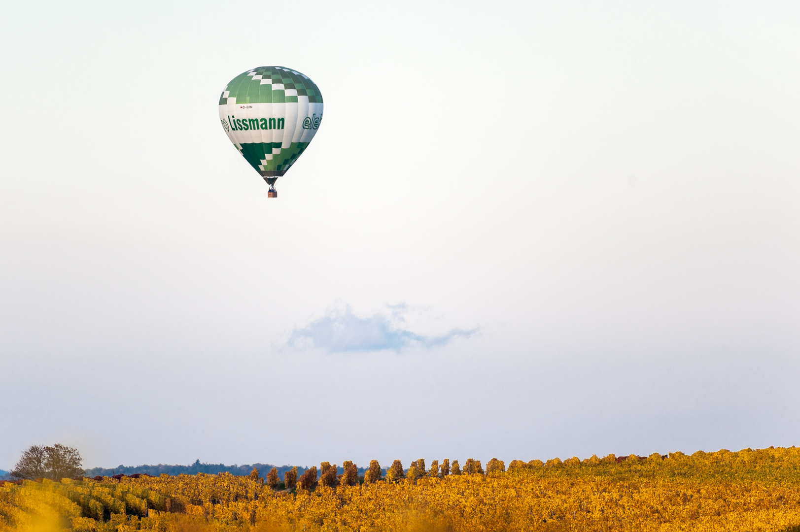 Herbstliches Naheland III