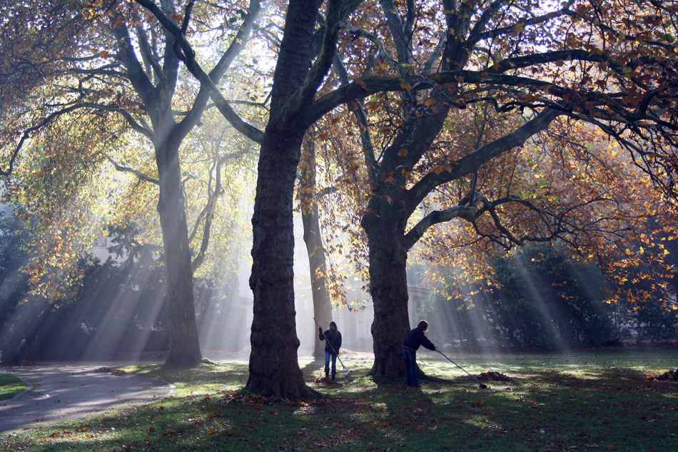 herbstliches Naturschauspiel