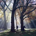 herbstliches Naturschauspiel