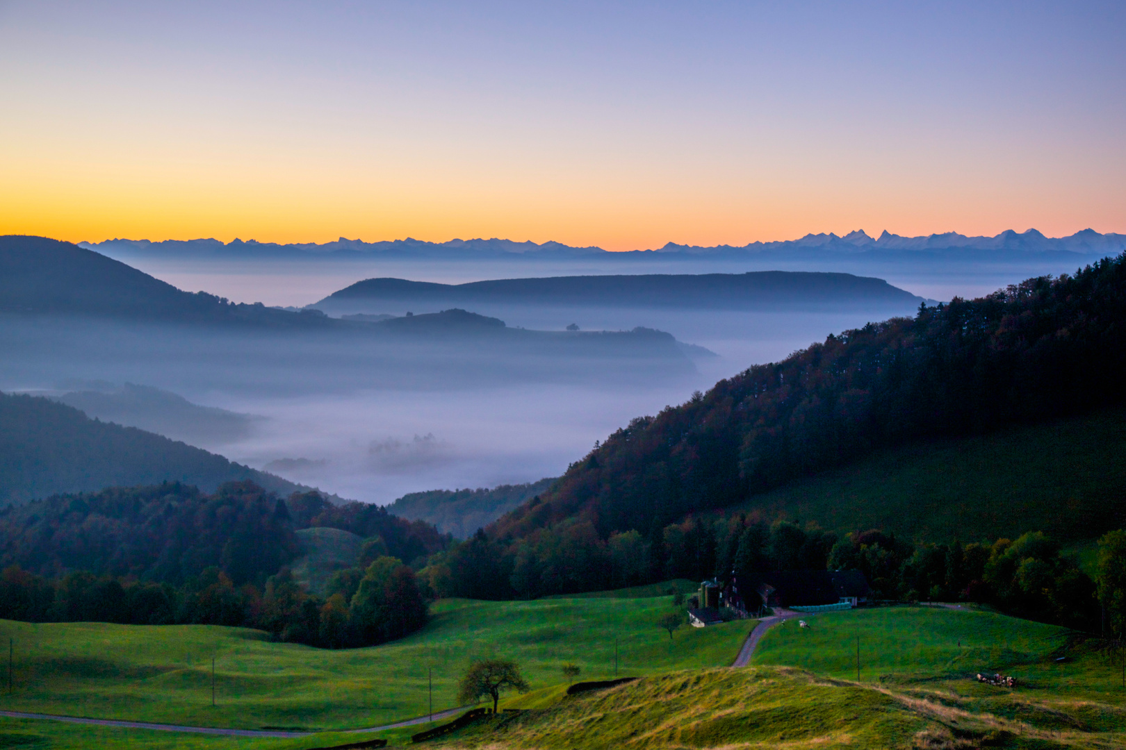 herbstliches Nebelmeer.