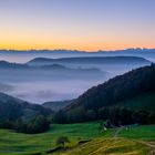 herbstliches Nebelmeer.