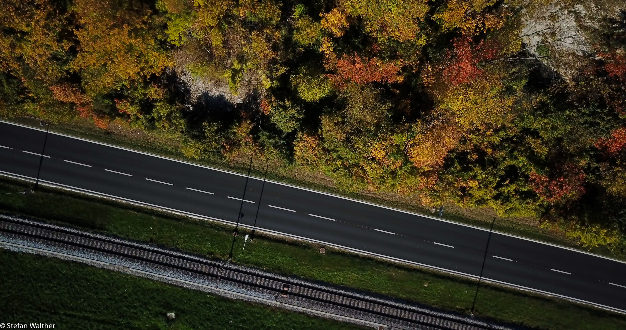 Herbstliches Nebeneinander