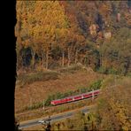 Herbstliches Neckartal