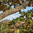 Herbstliches Nordhessen