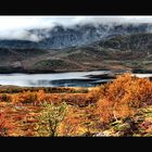 HERBSTLICHES NORWEGEN