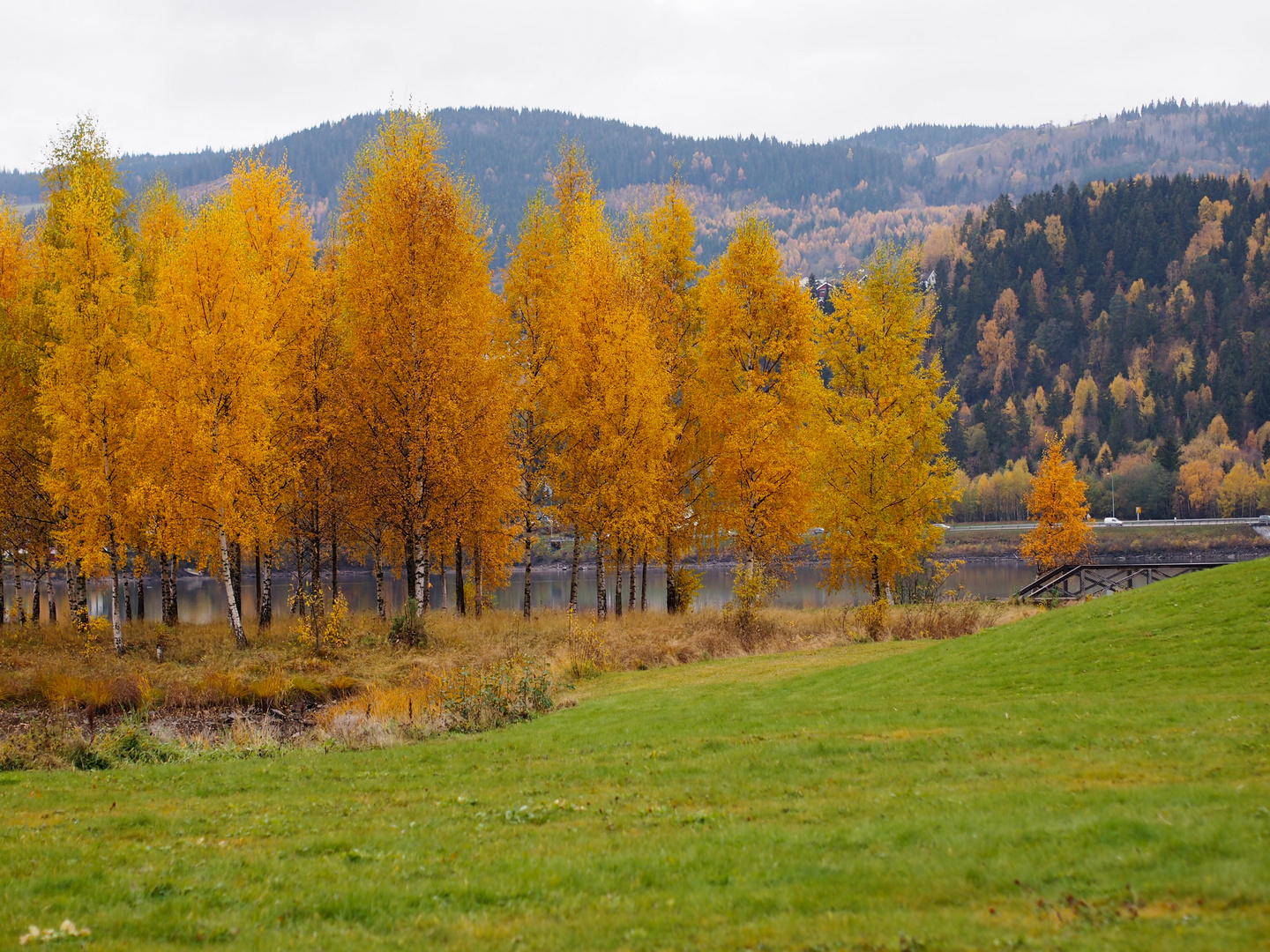 Herbstliches Norwegen