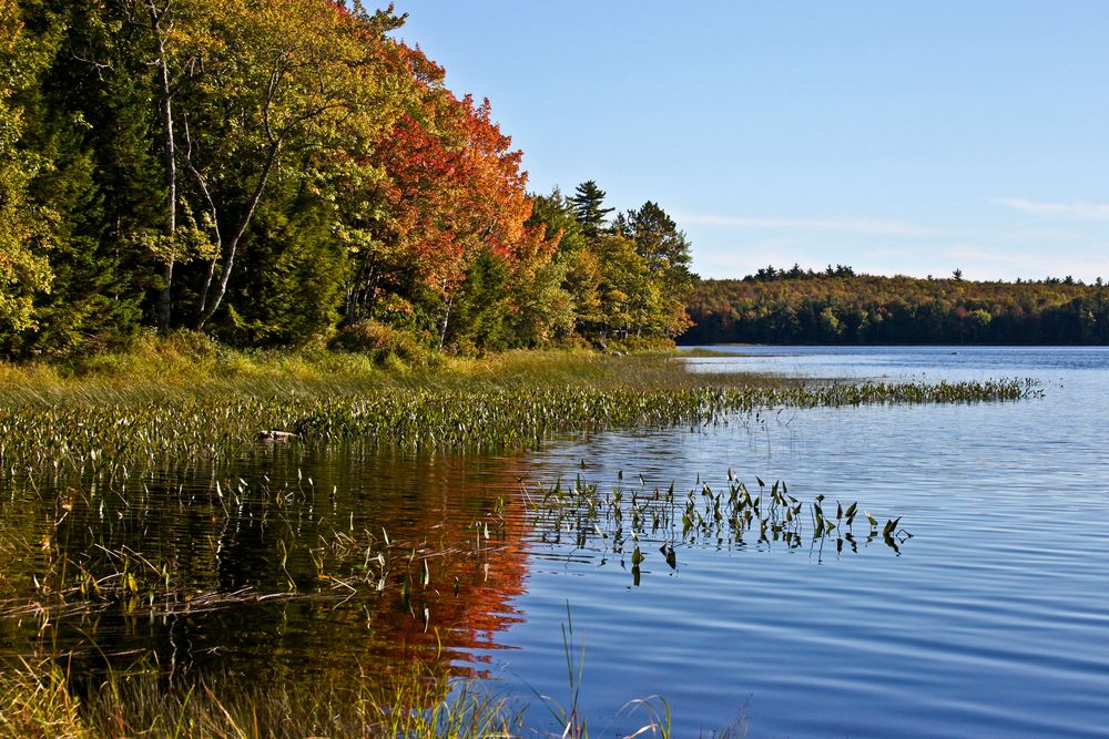 Herbstliches Nova Scotia