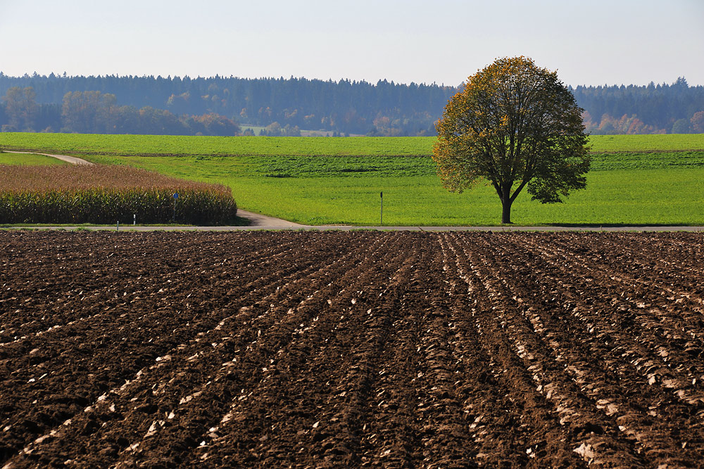 herbstliches Oberschwaben