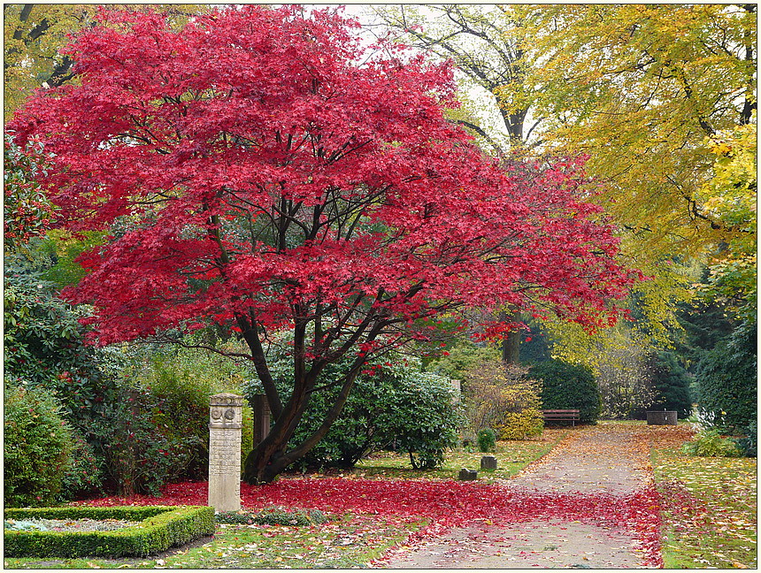 Herbstliches Ohlsdorf