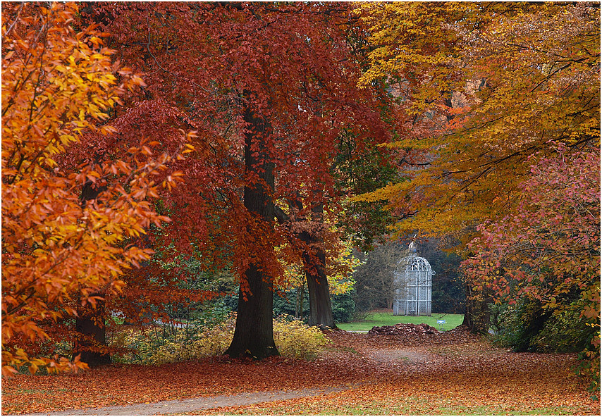 Herbstliches Ohlsdorf