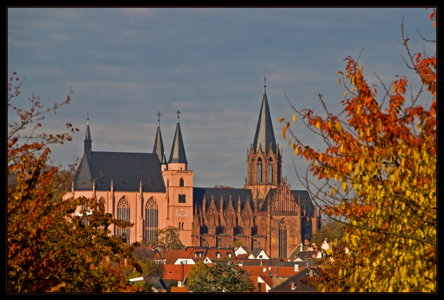 Herbstliches Oppenheim