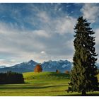 Herbstliches Ostallgäu...