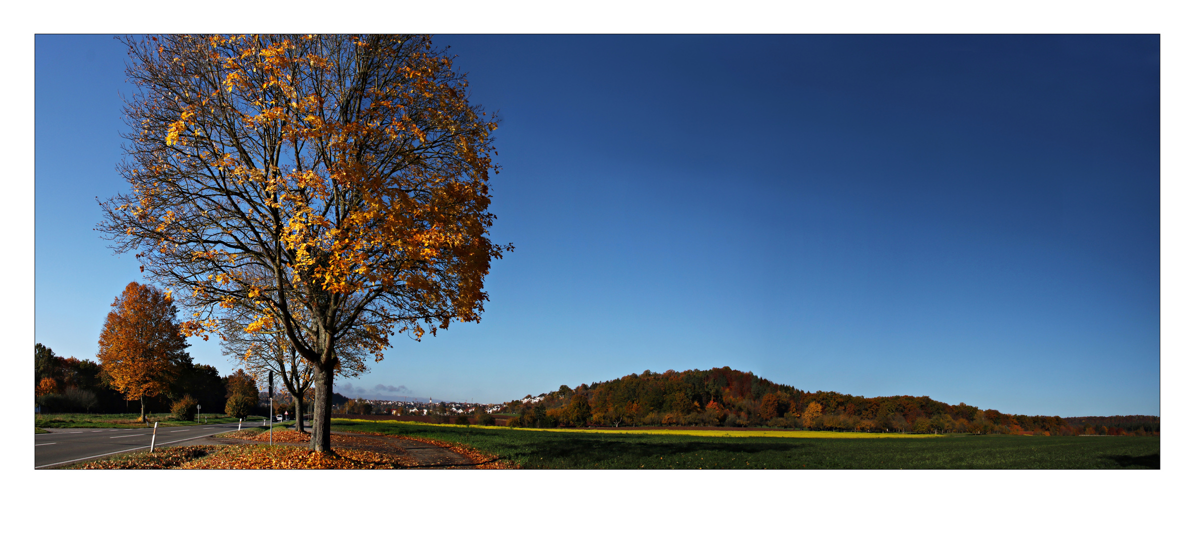 herbstliches Panorama