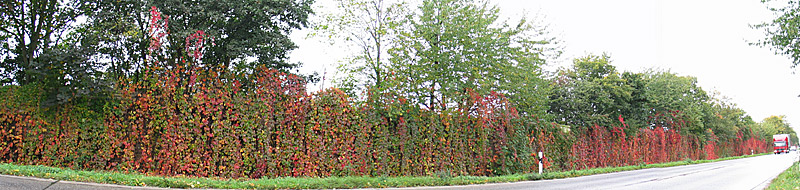 herbstliches Panorama II