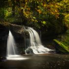 Herbstliches Paradies