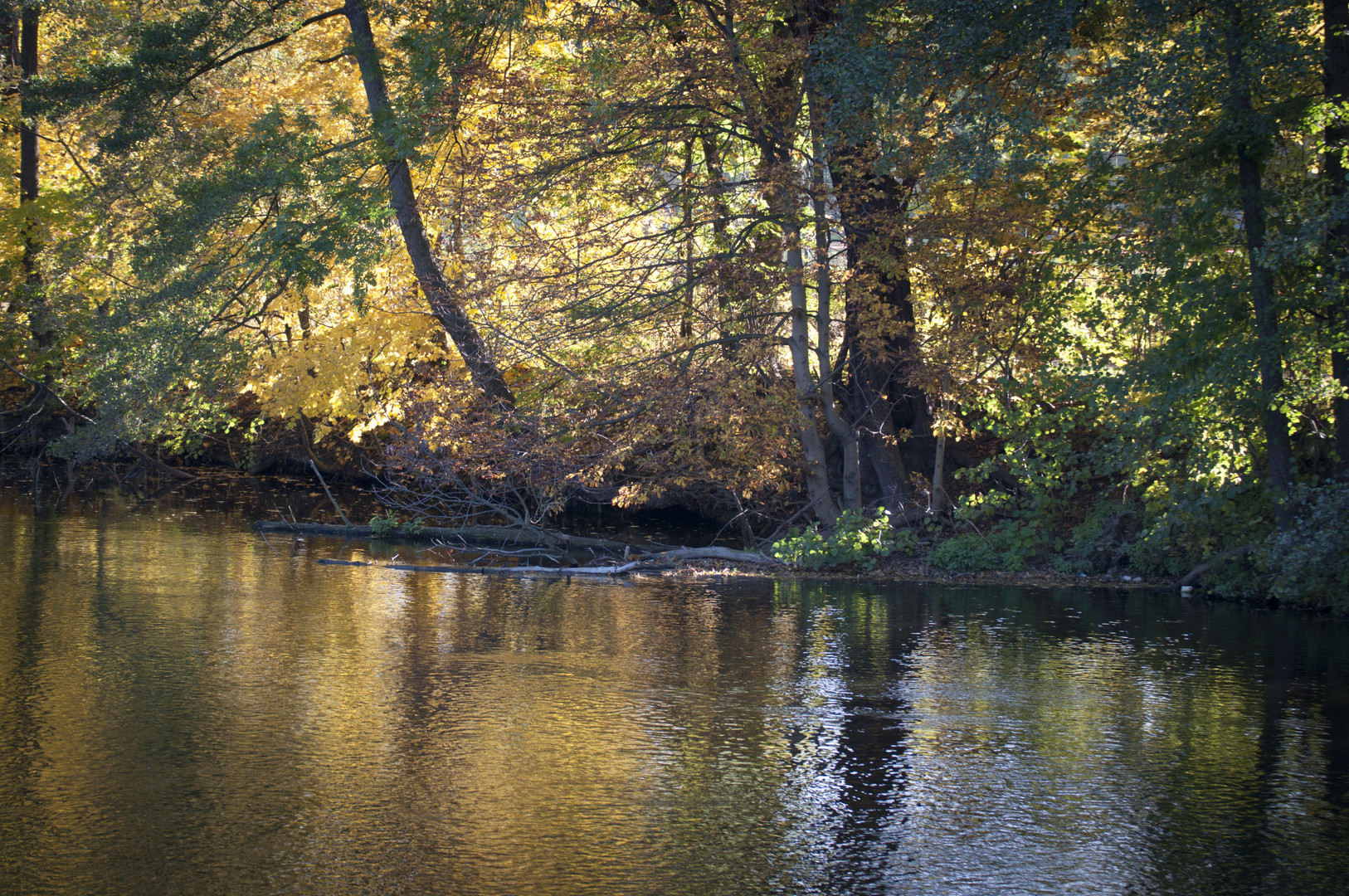 Herbstliches Paradies - Jena Paradies