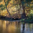 Herbstliches Paradies - Jena Paradies