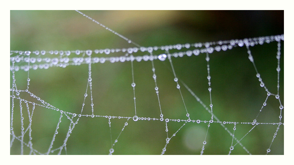 Herbstliches Perlen-Collier