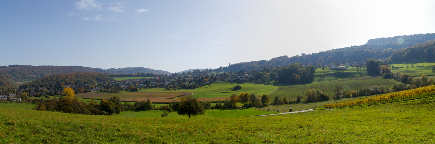 Herbstliches Pfeffingen (Kt.BL) Foto & Bild naturpanorama, natur