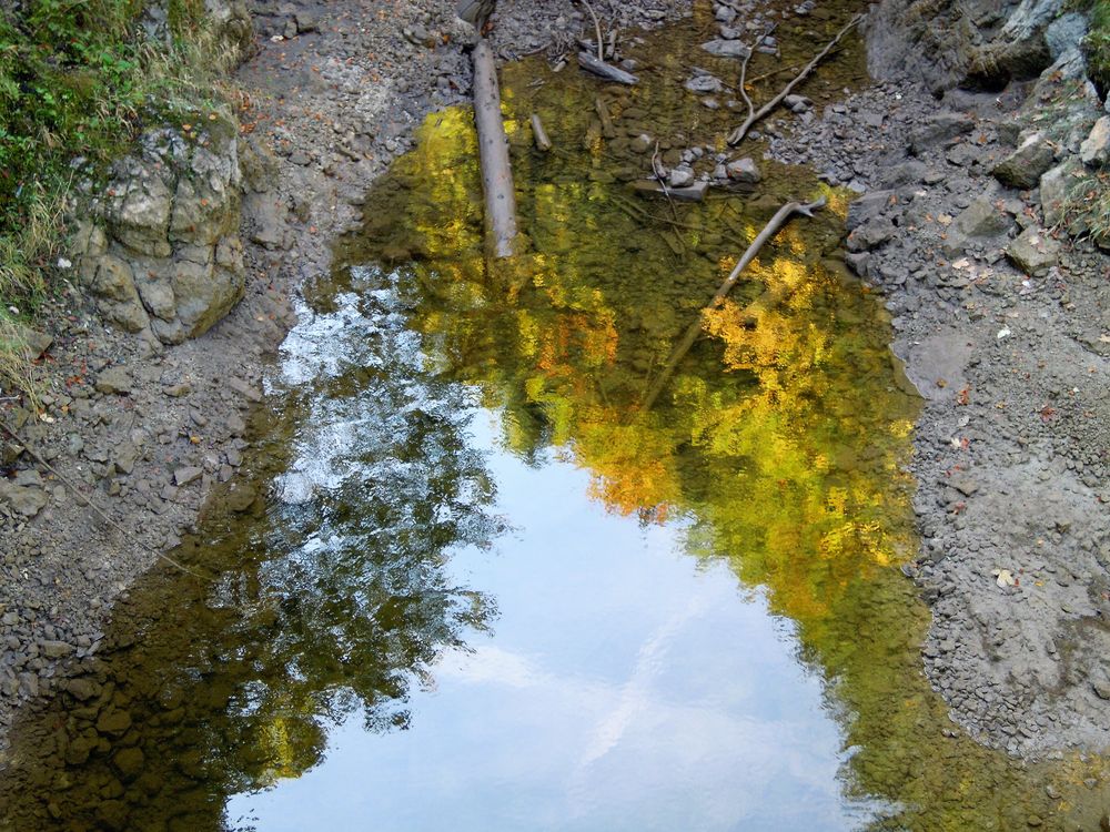 ... herbstliches Pfützenbild ...