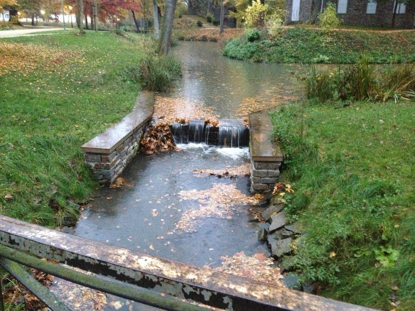 Herbstliches Plätschern